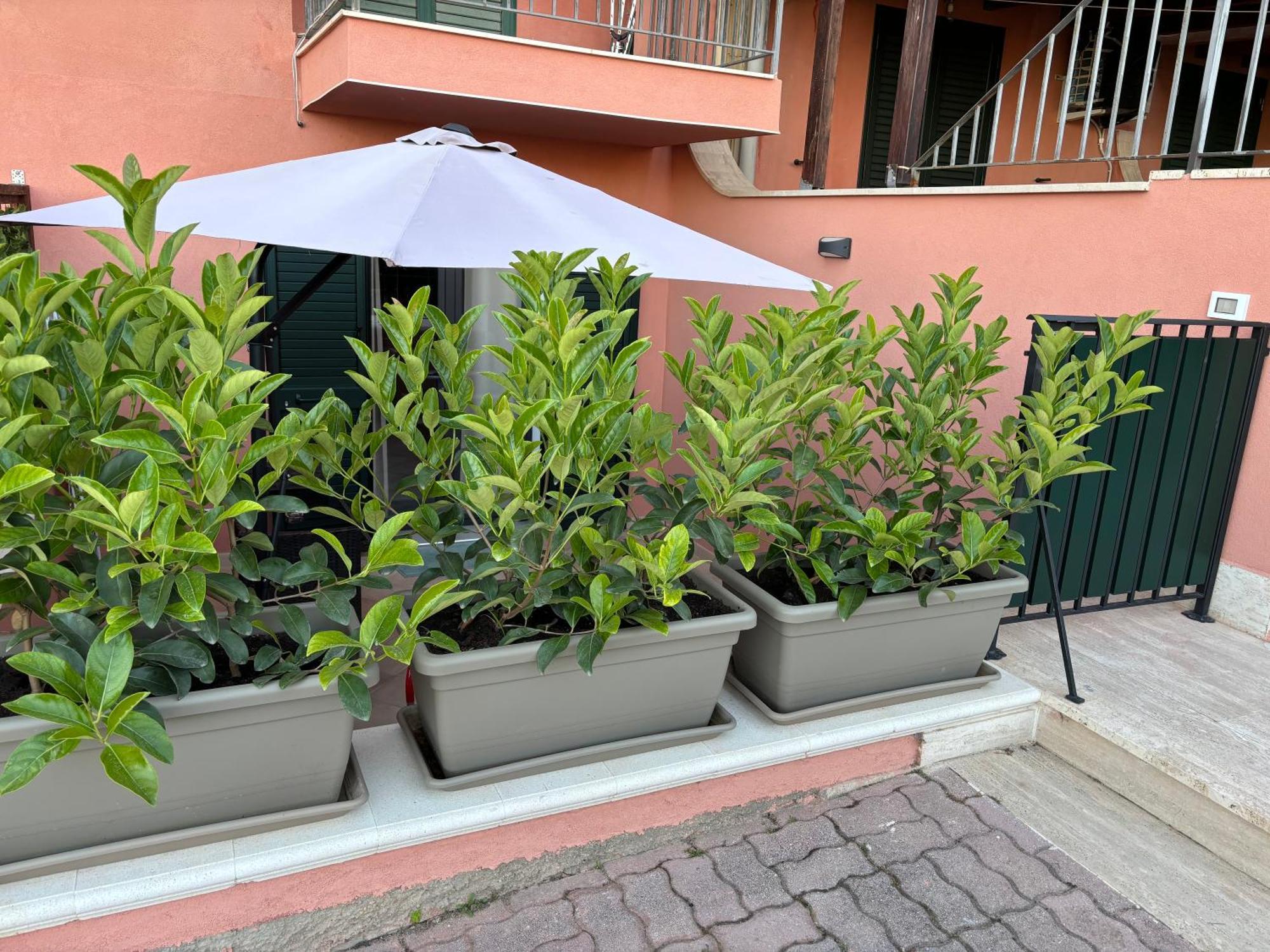 Casa Vacanza Scala Dei Turchi Реалмонте Екстериор снимка